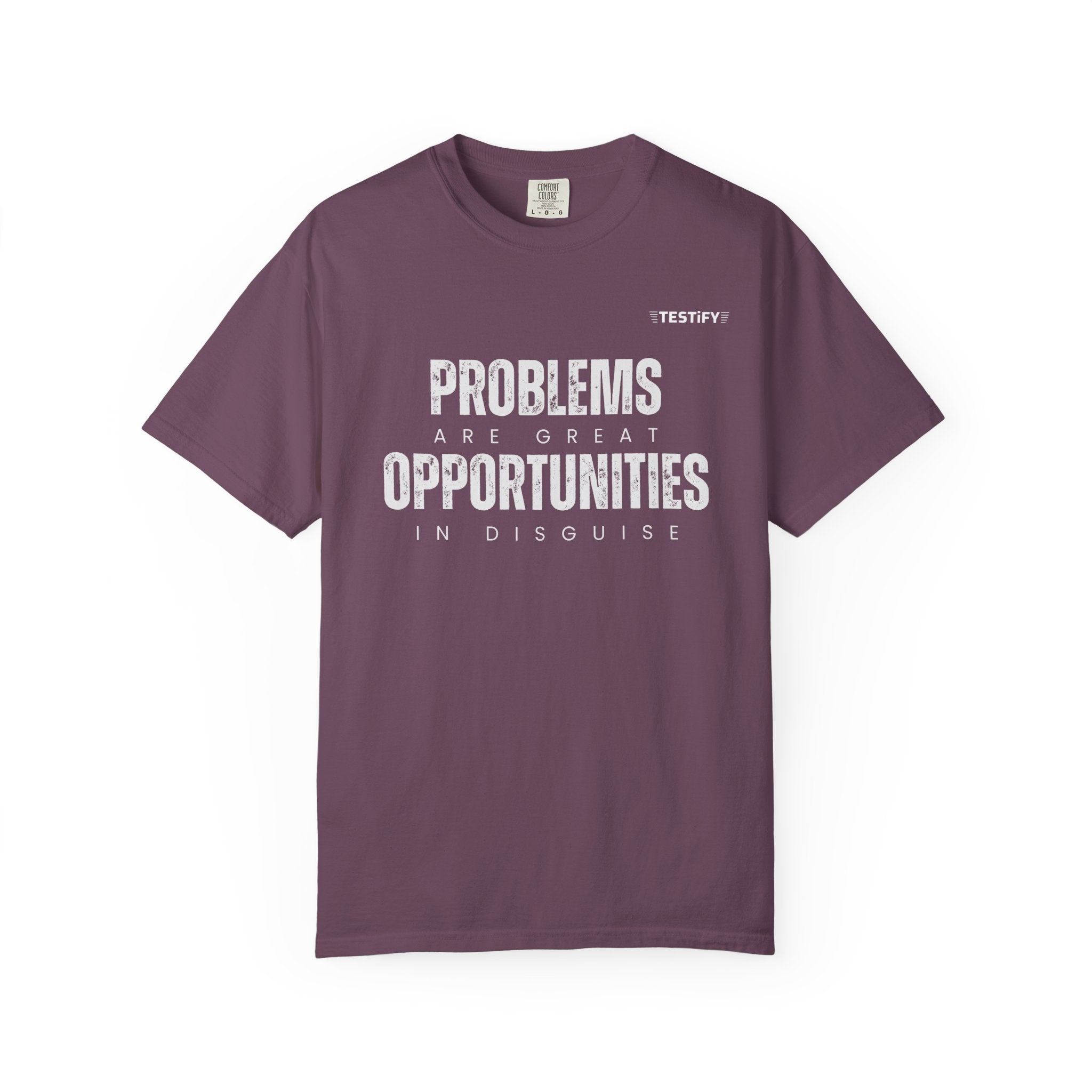Problems Are Great Opportunities T-Shirt — Inspirational Quote Graphic Tee