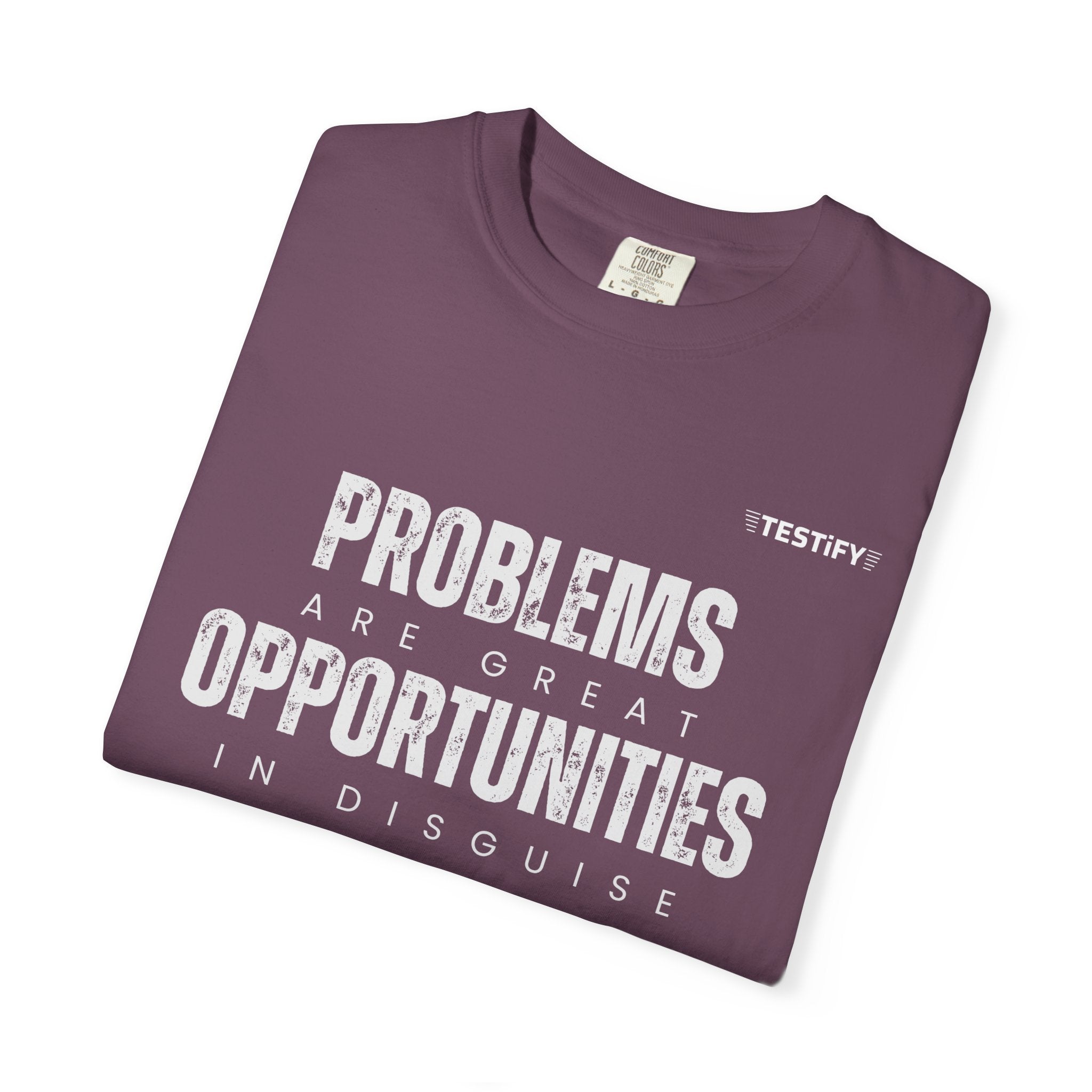 Problems Are Great Opportunities T-Shirt — Inspirational Quote Graphic Tee